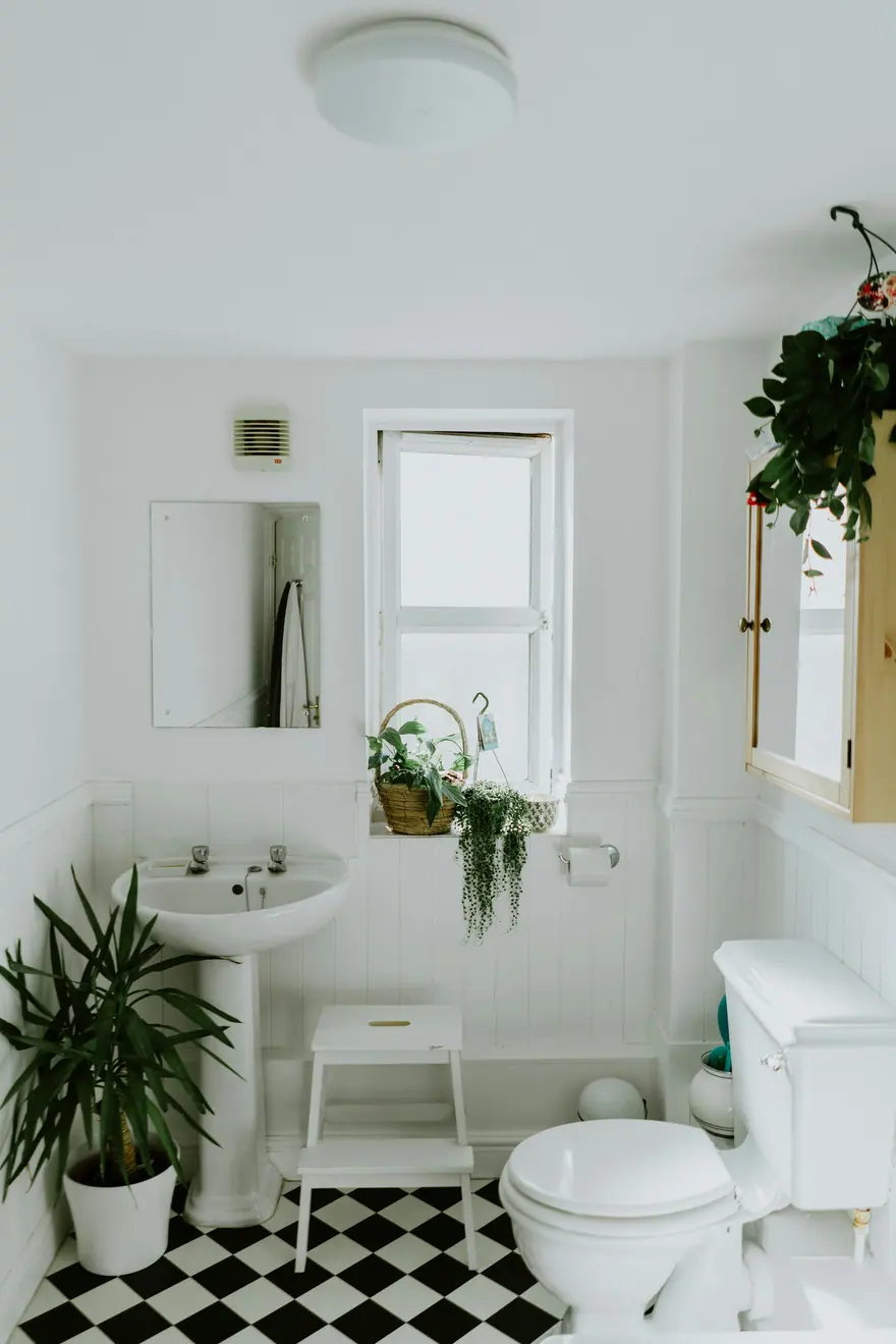 White bathroom with a checkered floor, pedestal sink and plants